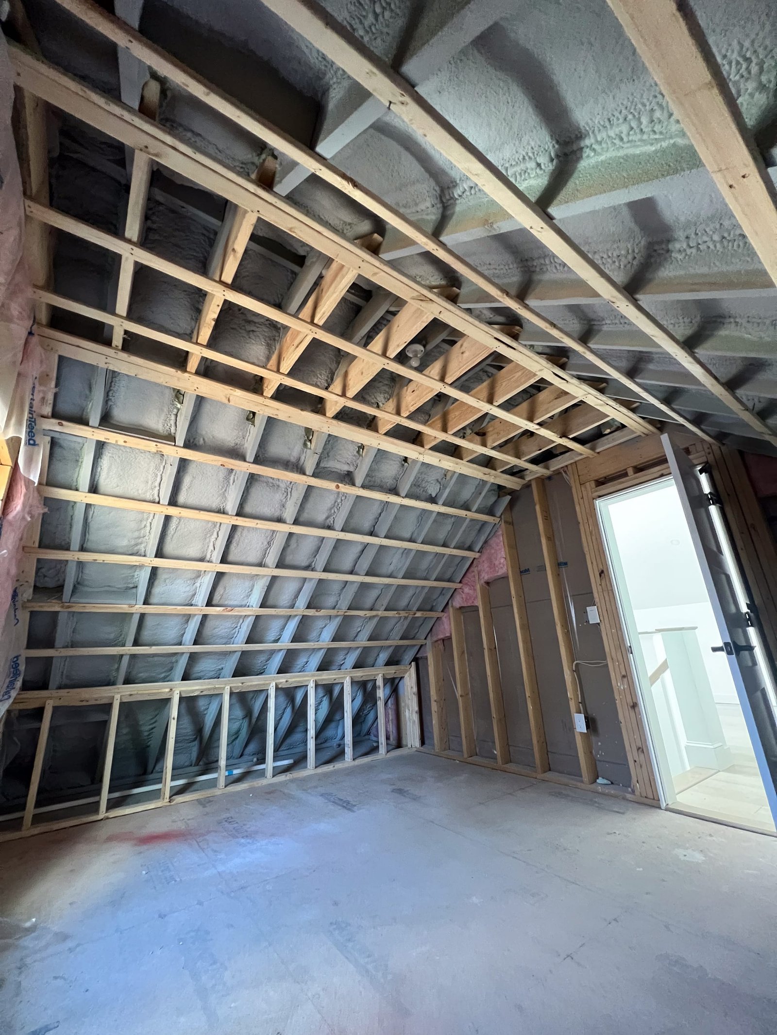 Basement Media Room
