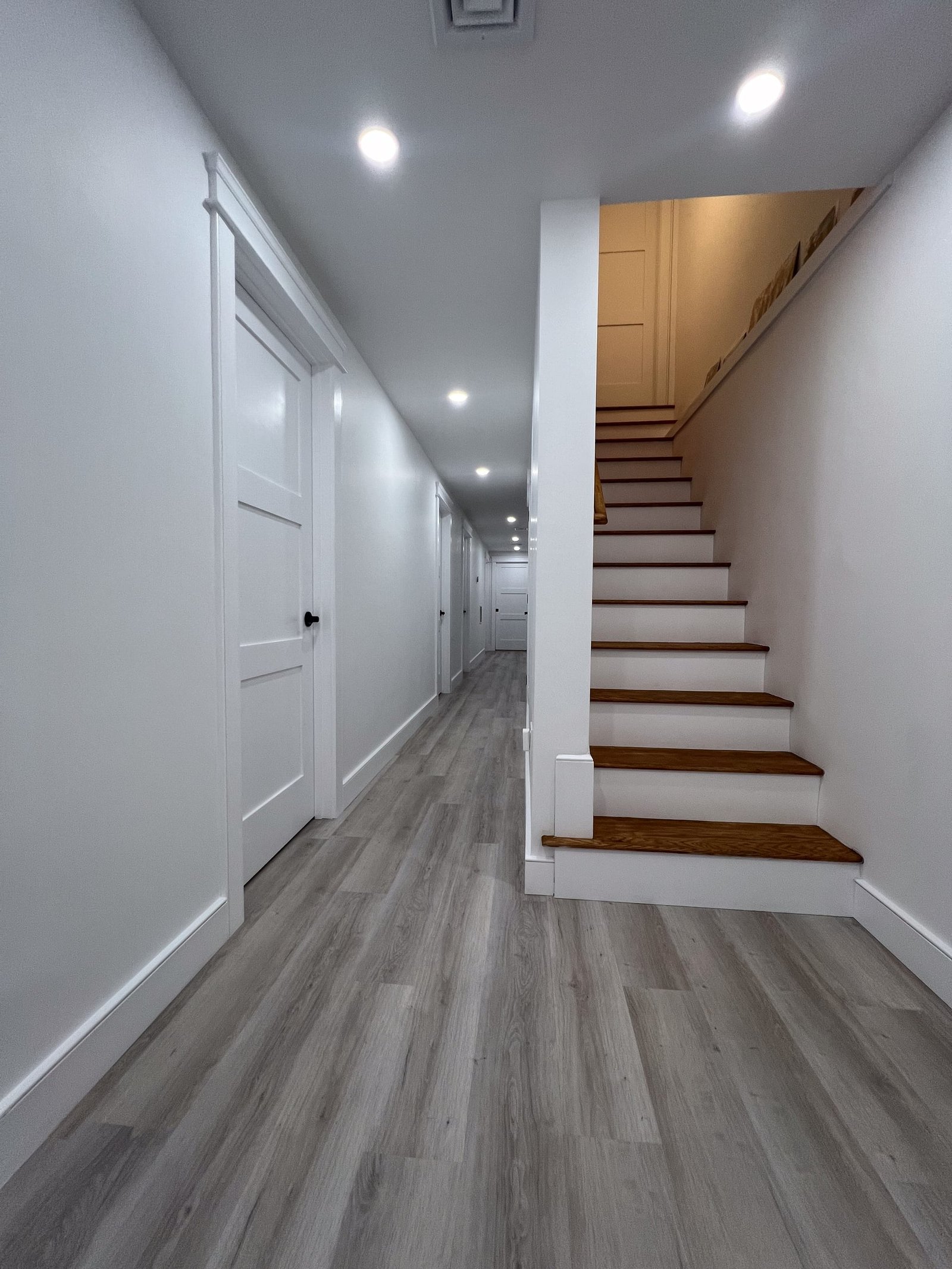 Full Basement Remodel